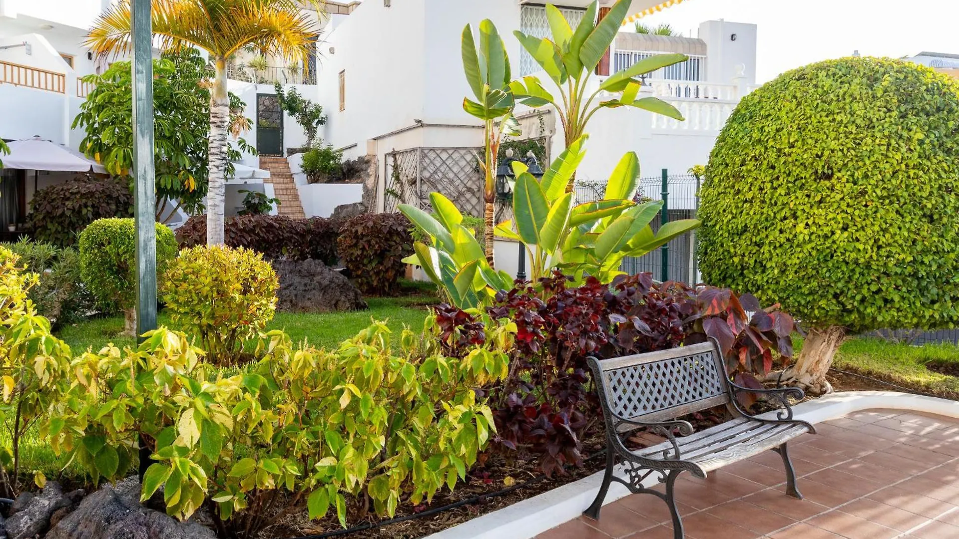 Apartamenty Los Geranios 110 Playa de las Americas  Playa de las Americas (Tenerife)